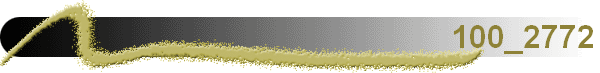 100_2772