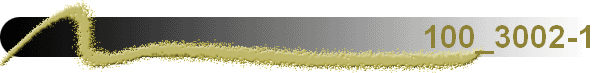 100_3002-1