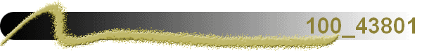 100_43801