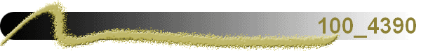 100_4390