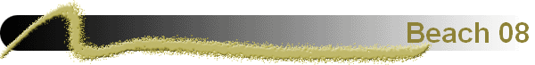 Beach 08